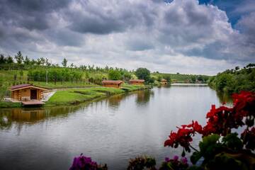 Фото Шале Domeniul Gruiu г. Gruiu 4